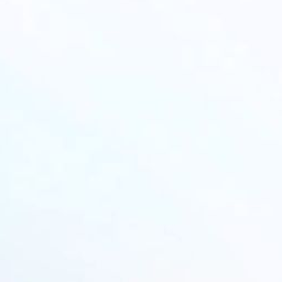 스프런키급똥(자케포함) 대표 이미지