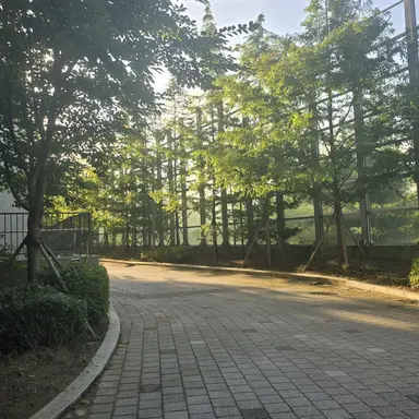 Profile image of 정공룡 경사