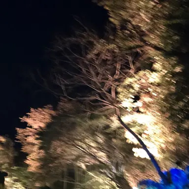 Profile image of 김각별 경위