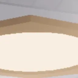 Profile image of ルイス