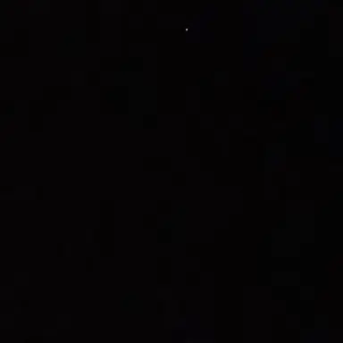 Profile image of 桐