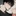 윤시후