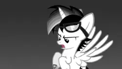 Profile image of Thunder Blight