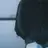 태현