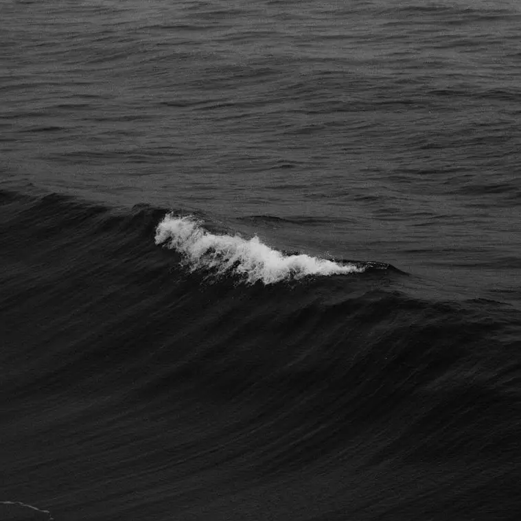 Kwajagchang의 Zhaowei