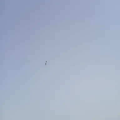 Profile image of 황주현