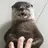 최요원