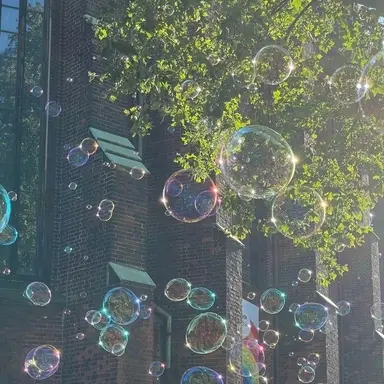 Profile image of 류채빈