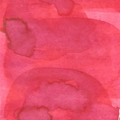 Profile image of 유카