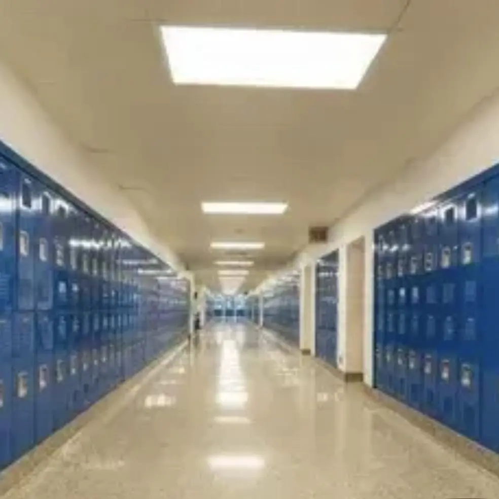 StickyPasta9656의 New School