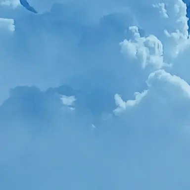 Profile image of 야옹이