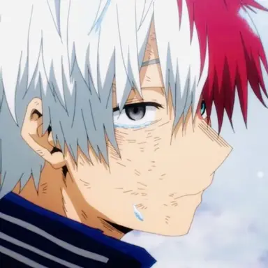 Profile image of Shoto Todoroki