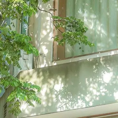 Profile image of 박 성 호