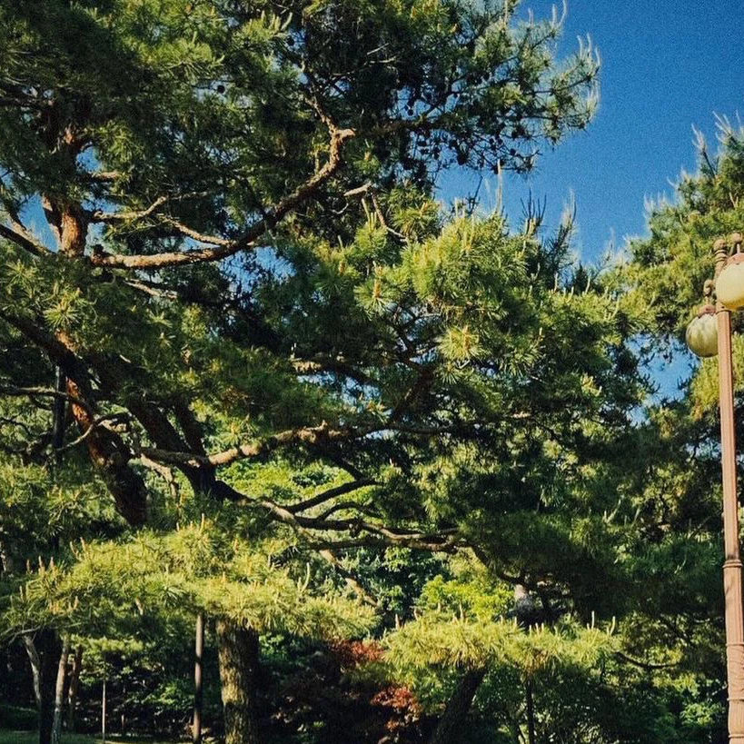 최승첧