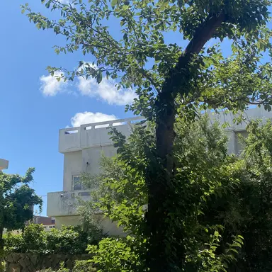 Profile image of 10B