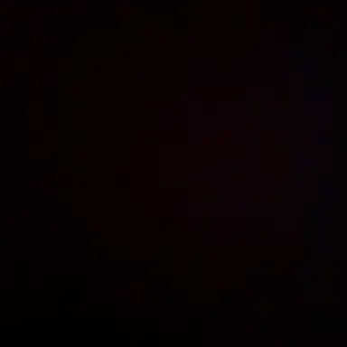 Profile image of 최.수.빈