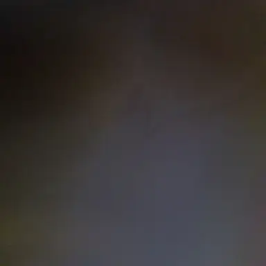 Profile image of 이윤하