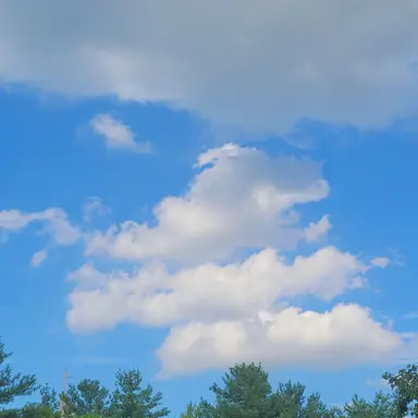 Profile image of 작자