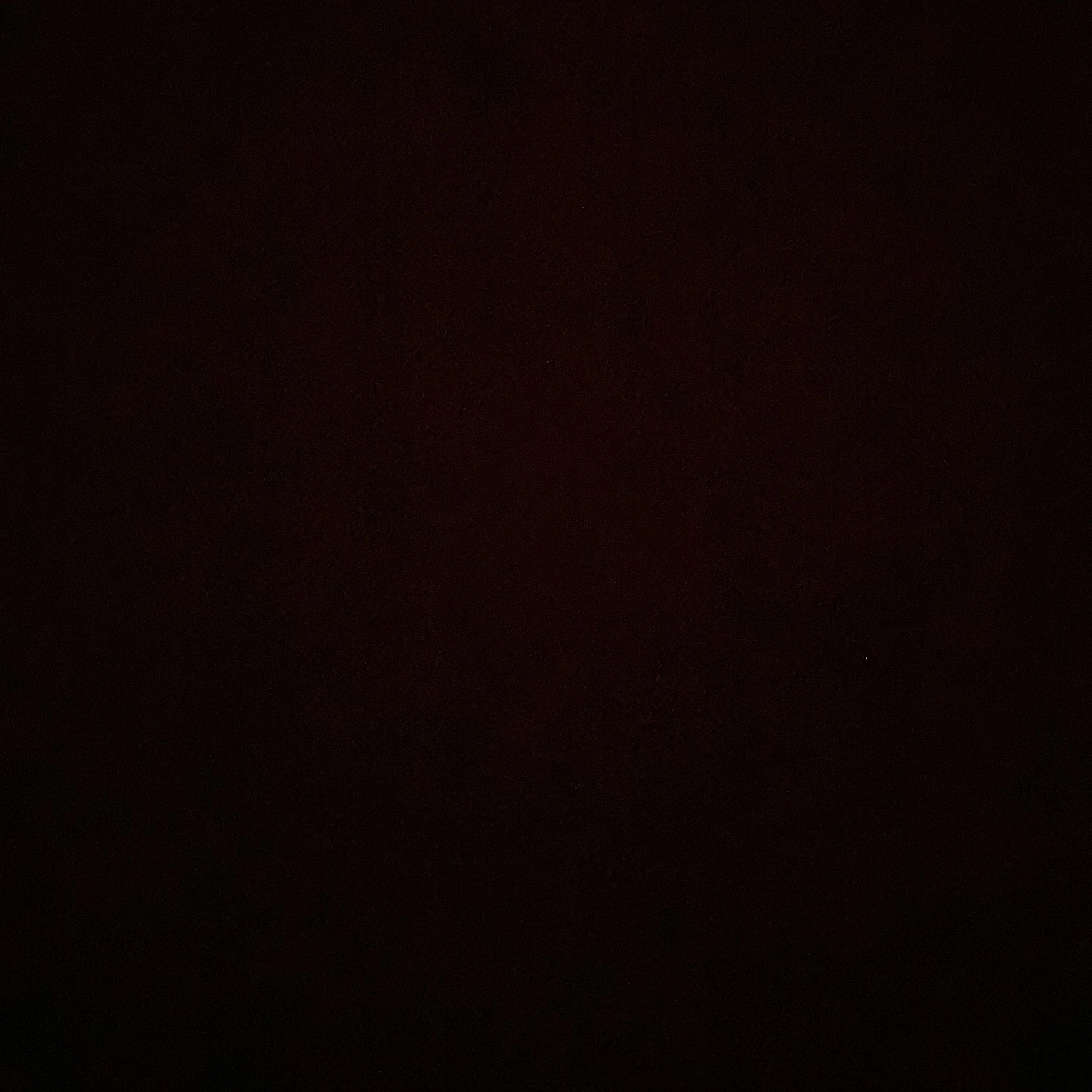 시청자들