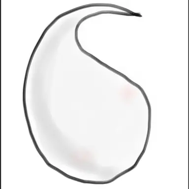 Profile image of 魂魄妖夢の半霊