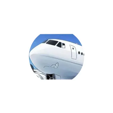 Profile image of 항공기 퍼리
