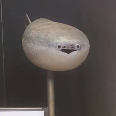 Profile image of 유키메 해린