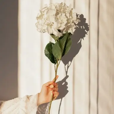 Profile image of 강다니엘