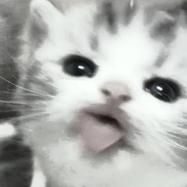 Profile image of うる