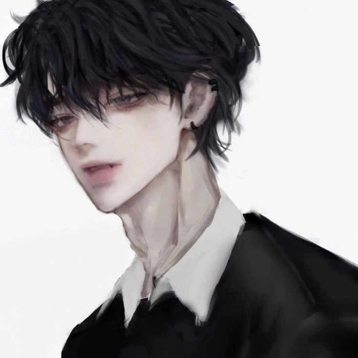 샬롯 대표 이미지