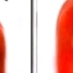 Profile image of 렌고쿠 쿄쥬로