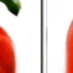 Profile image of 코쿠시보