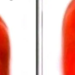 Profile image of 엔무