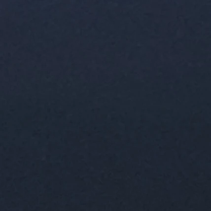 김동현