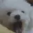 뀨돌이