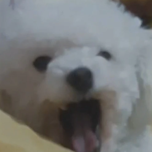 뀨돌이