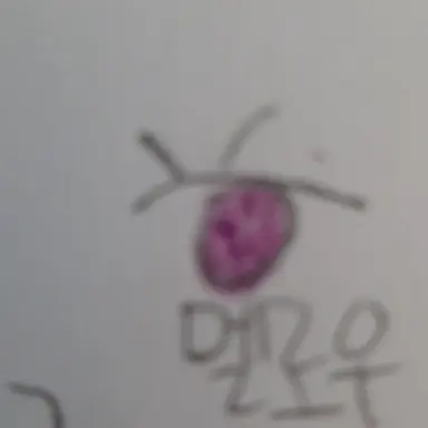 Profile image of 멜로우