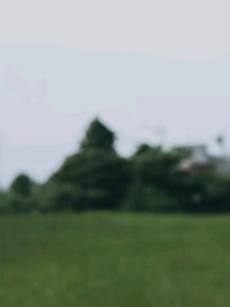 . 대표 이미지