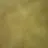 쭈아니의 일상
