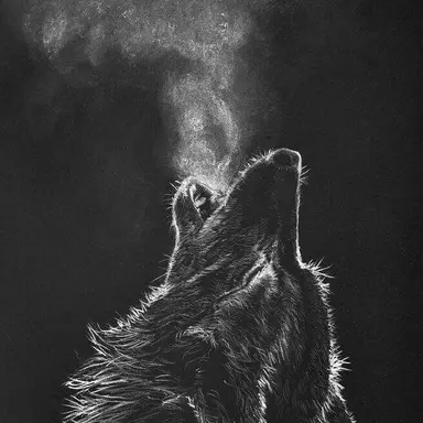 Profile image of 김정헌