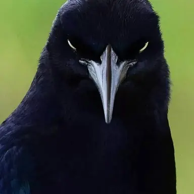 Profile image of バータ