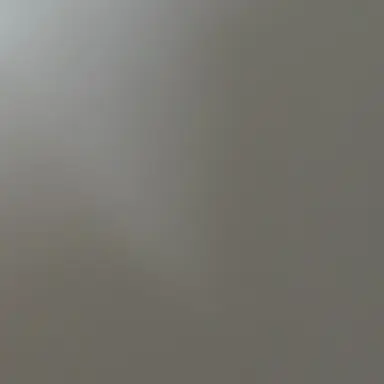 Profile image of 구구몽