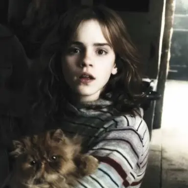Profile image of Hermione Granger