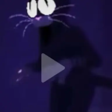 Profile image of 고양이