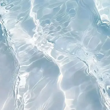 Profile image of 파이브