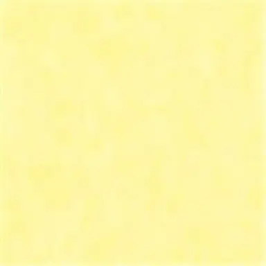 Profile image of 吉田仁人