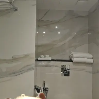 Profile image of 성한빈