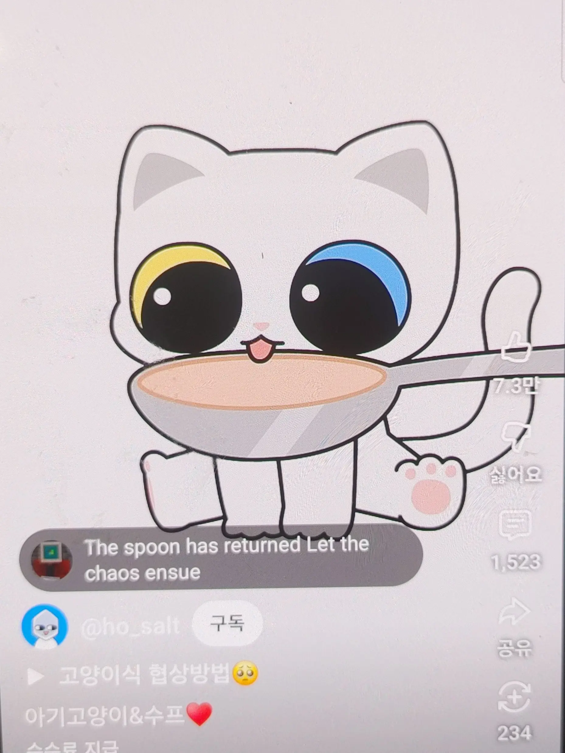 BeMyTown의 호소금과 고양이들의 동거