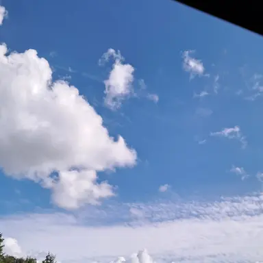 Profile image of 여우