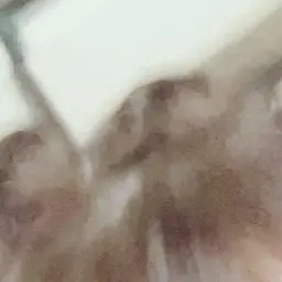 SadGirl728의 道枝