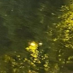 リクス